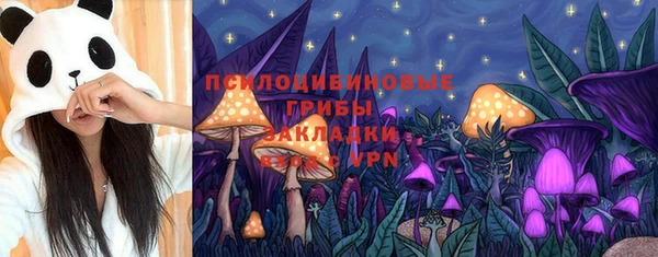 твердый Алексеевка
